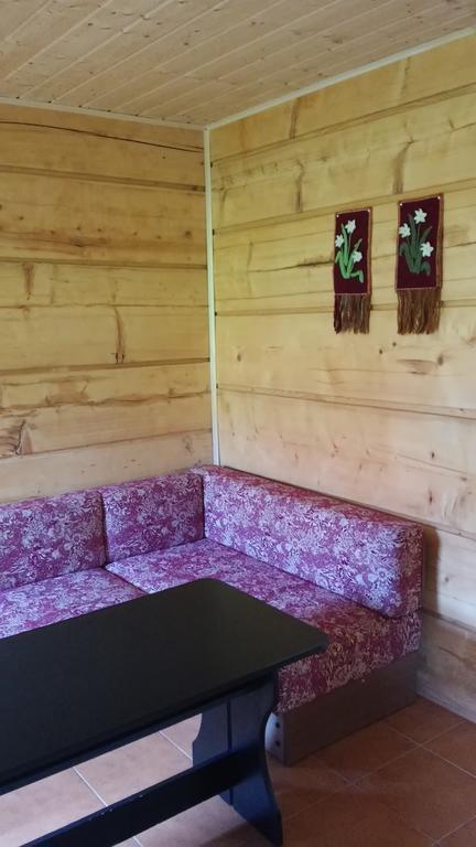 Noclegi Pod Malym Krolem Ustrzyki Dolne Buitenkant foto