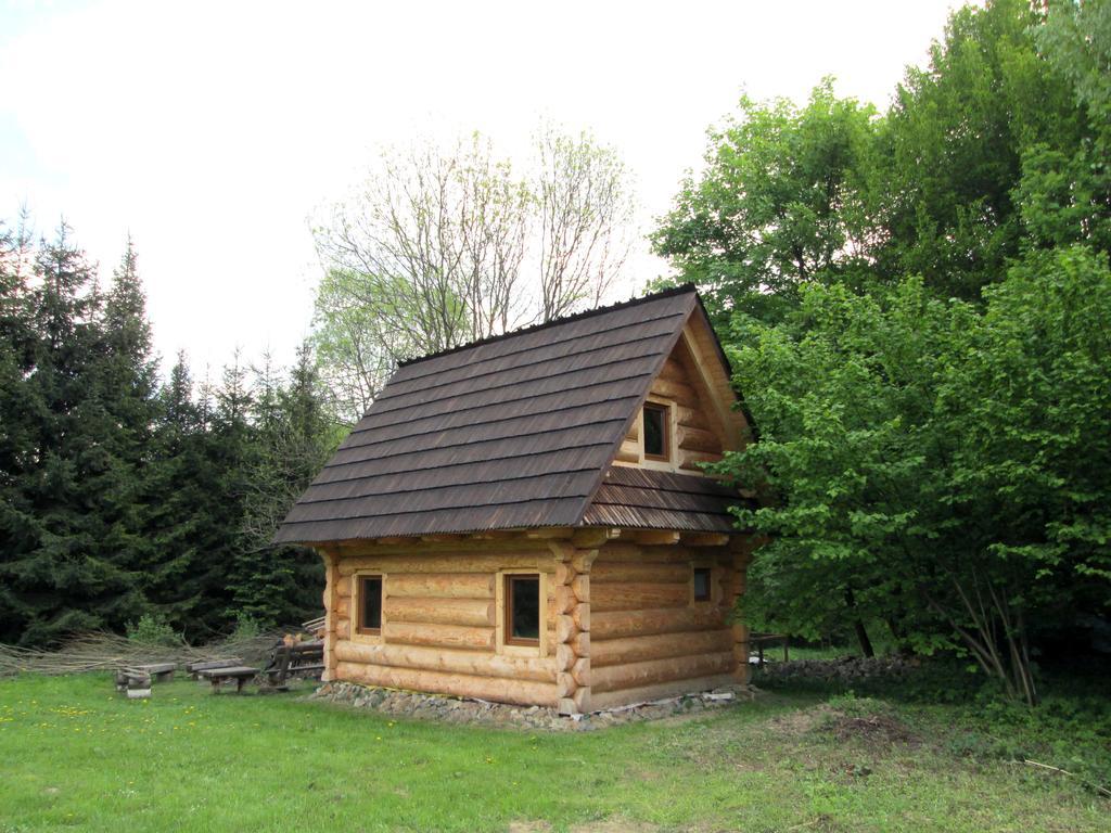 Noclegi Pod Malym Krolem Ustrzyki Dolne Buitenkant foto